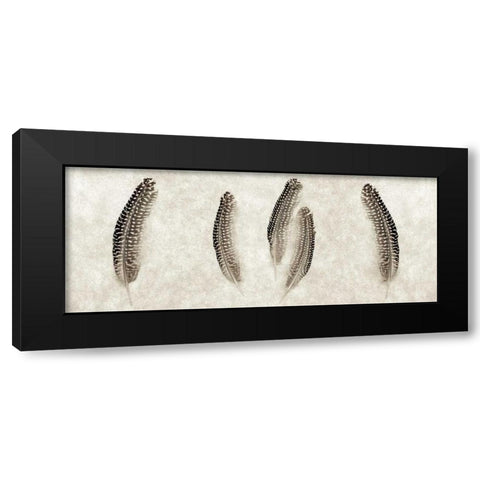 Feather Panel - 3 Black Modern Wood Framed Art Print with Double Matting by Blaustein, Alan