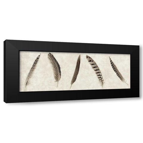 Feathers Panel - 1 Black Modern Wood Framed Art Print by Blaustein, Alan