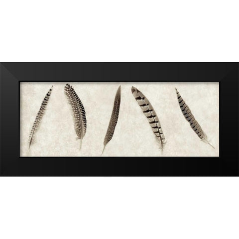 Feathers Panel - 1 Black Modern Wood Framed Art Print by Blaustein, Alan
