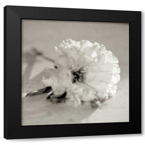 Florison - 28 Black Modern Wood Framed Art Print by Blaustein, Alan
