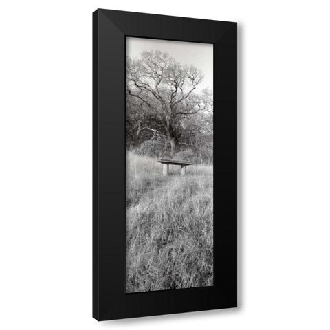 Novato Oak Black Modern Wood Framed Art Print with Double Matting by Blaustein, Alan