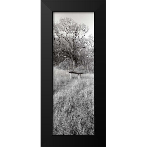 Novato Oak Black Modern Wood Framed Art Print by Blaustein, Alan