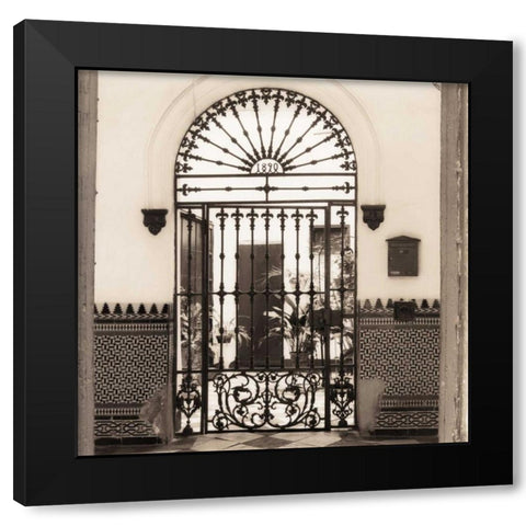 Patio de la Alameda Black Modern Wood Framed Art Print with Double Matting by Blaustein, Alan