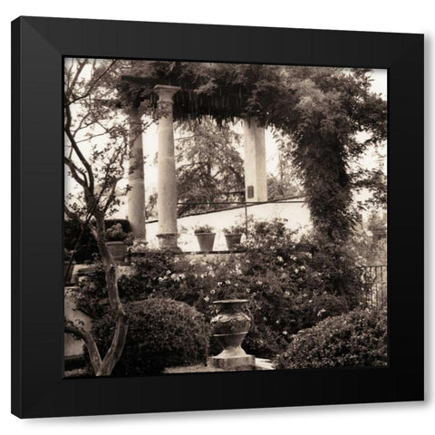 Jardin del Ronda Black Modern Wood Framed Art Print with Double Matting by Blaustein, Alan