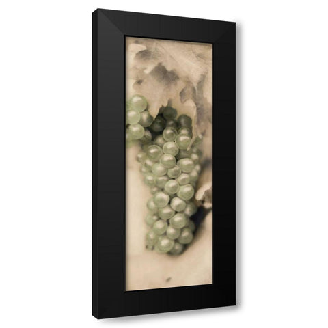 Pinot Blanc Black Modern Wood Framed Art Print with Double Matting by Blaustein, Alan