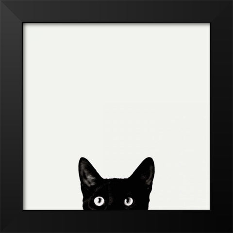 Curiosity Black Modern Wood Framed Art Print by Bertelli, Jon