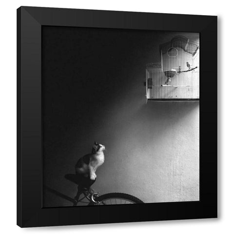 Patience Black Modern Wood Framed Art Print by Bertelli, Jon
