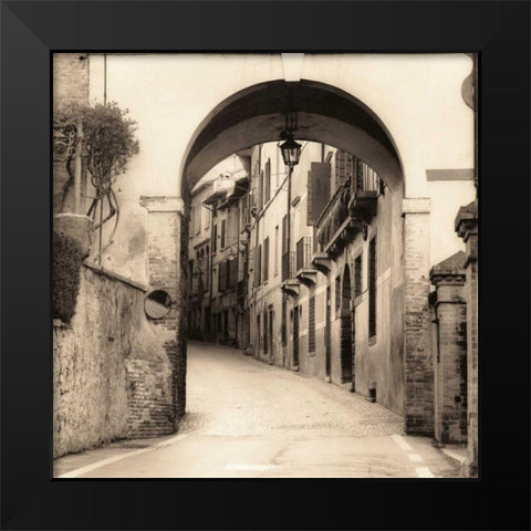 Asolo Veneto Black Modern Wood Framed Art Print by Blaustein, Alan