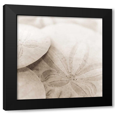 Atlantis 2 Black Modern Wood Framed Art Print by Blaustein, Alan