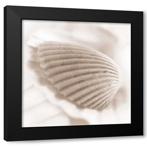 Atlantis 3 Black Modern Wood Framed Art Print by Blaustein, Alan