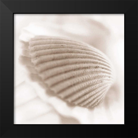 Atlantis 3 Black Modern Wood Framed Art Print by Blaustein, Alan