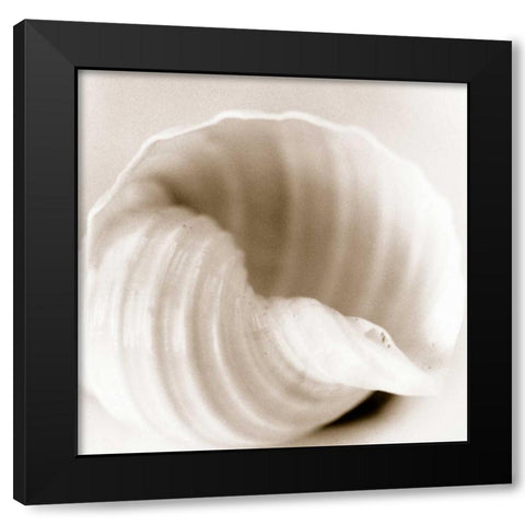 Atlantis 4 Black Modern Wood Framed Art Print by Blaustein, Alan