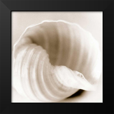 Atlantis 4 Black Modern Wood Framed Art Print by Blaustein, Alan