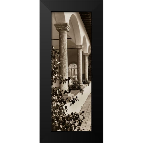 Portico Toscana Black Modern Wood Framed Art Print by Blaustein, Alan