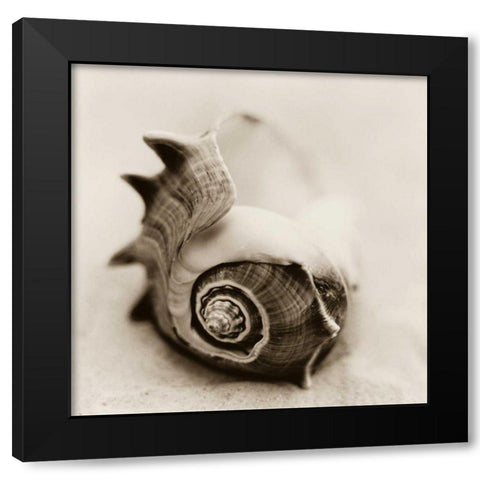 La Playa No2 Black Modern Wood Framed Art Print by Blaustein, Alan