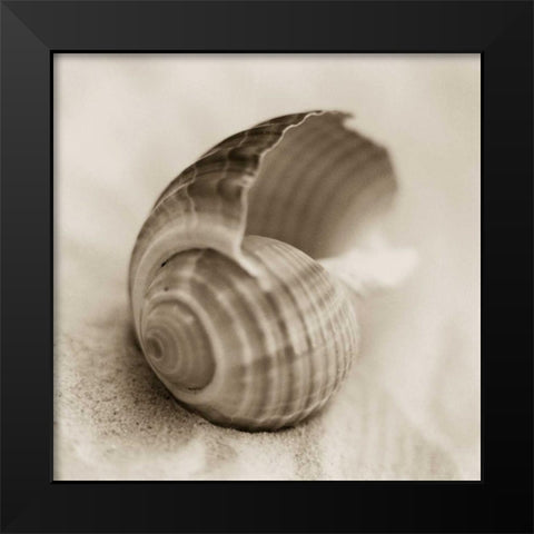 La Playa No3 Black Modern Wood Framed Art Print by Blaustein, Alan