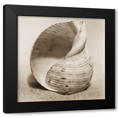 La Playa No4 Black Modern Wood Framed Art Print by Blaustein, Alan