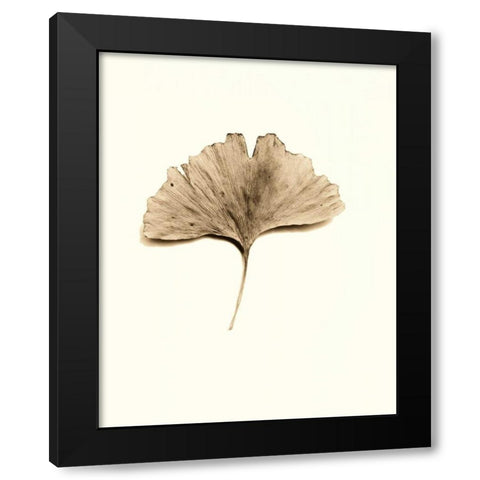 Ginkgo Leaf Black Modern Wood Framed Art Print by Blaustein, Alan