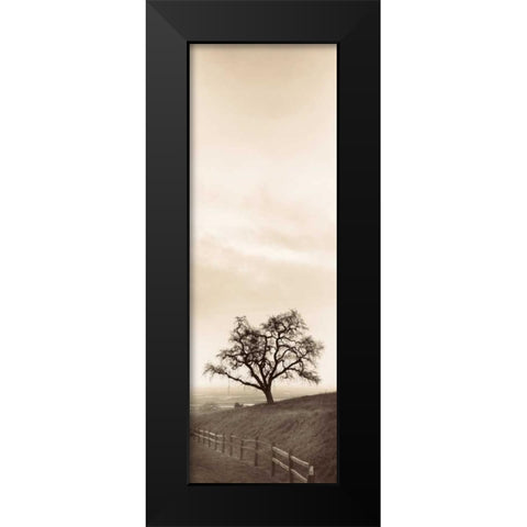 Sentinel Oak Tree Black Modern Wood Framed Art Print by Blaustein, Alan