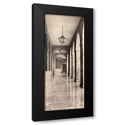 Leon Espana Black Modern Wood Framed Art Print by Blaustein, Alan