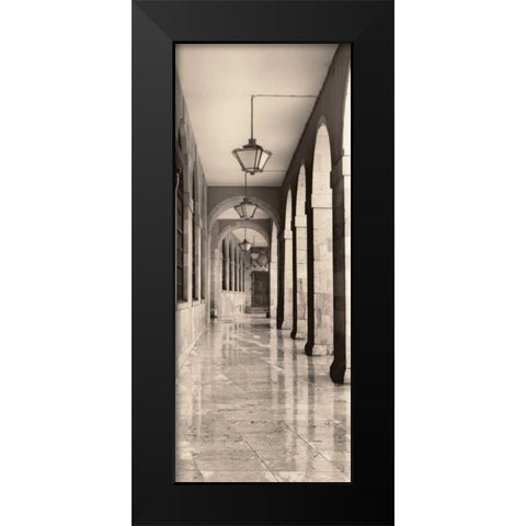 Leon Espana Black Modern Wood Framed Art Print by Blaustein, Alan