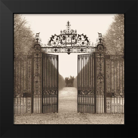 Hampton Gate Black Modern Wood Framed Art Print by Blaustein, Alan