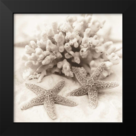 La Mer 1 Black Modern Wood Framed Art Print by Blaustein, Alan