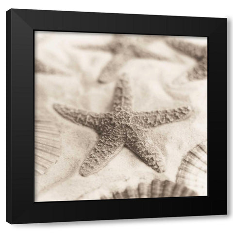 La Mer 2 Black Modern Wood Framed Art Print by Blaustein, Alan