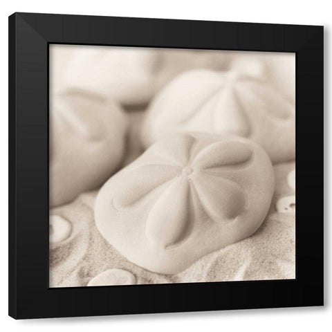 La Mer 4 Black Modern Wood Framed Art Print by Blaustein, Alan