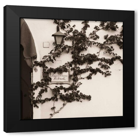 Buca di Bacco Ristorante Black Modern Wood Framed Art Print with Double Matting by Blaustein, Alan