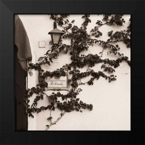 Buca di Bacco Ristorante Black Modern Wood Framed Art Print by Blaustein, Alan