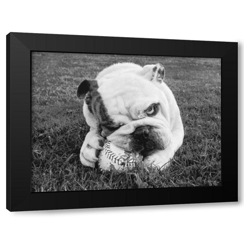 Obsess Black Modern Wood Framed Art Print by Beals, Sharon