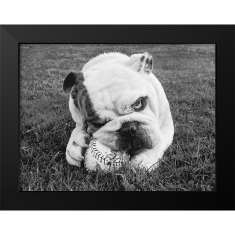 Obsess Black Modern Wood Framed Art Print by Beals, Sharon