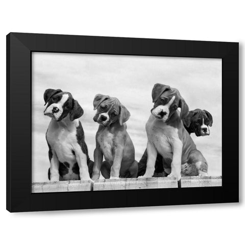 Wonder Black Modern Wood Framed Art Print by Beals, Sharon