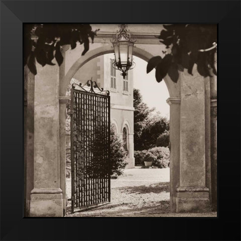 Giardino Mortola Black Modern Wood Framed Art Print by Blaustein, Alan