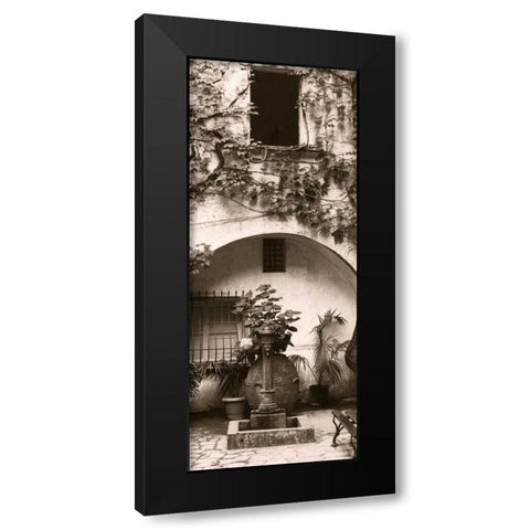 Portico Ravello Black Modern Wood Framed Art Print with Double Matting by Blaustein, Alan