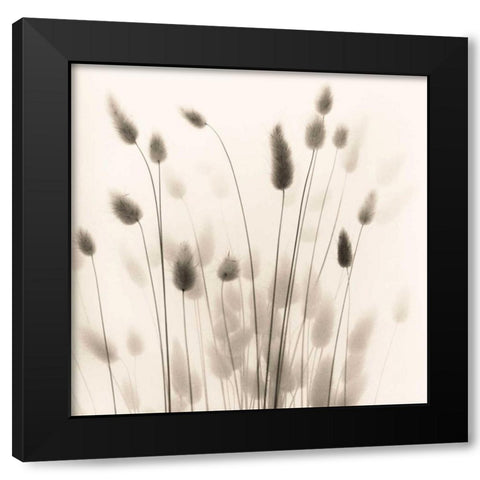 Italian Tall Grass No. 1 Black Modern Wood Framed Art Print by Blaustein, Alan