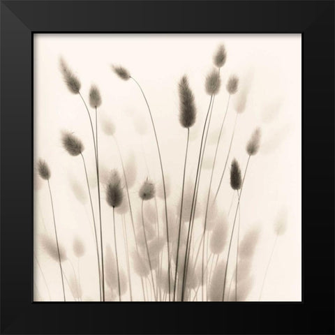Italian Tall Grass No. 1 Black Modern Wood Framed Art Print by Blaustein, Alan