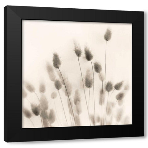 Italian Tall Grass No. 2 Black Modern Wood Framed Art Print by Blaustein, Alan