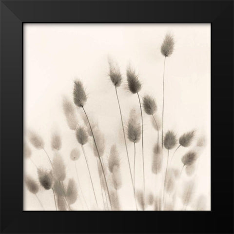 Italian Tall Grass No. 2 Black Modern Wood Framed Art Print by Blaustein, Alan