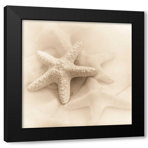 Il Oceano No. 1 Black Modern Wood Framed Art Print by Blaustein, Alan