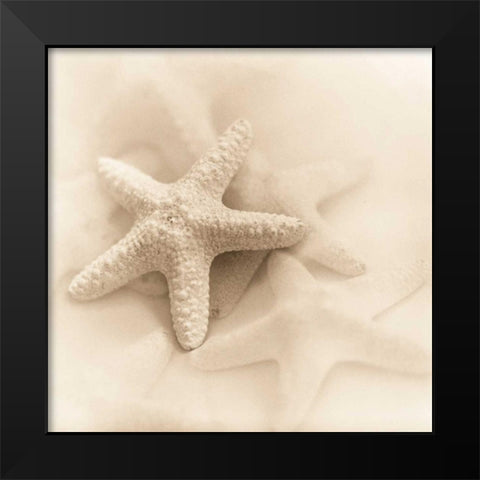 Il Oceano No. 1 Black Modern Wood Framed Art Print by Blaustein, Alan