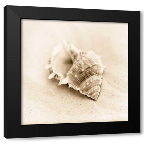 Il Oceano No. 3 Black Modern Wood Framed Art Print by Blaustein, Alan