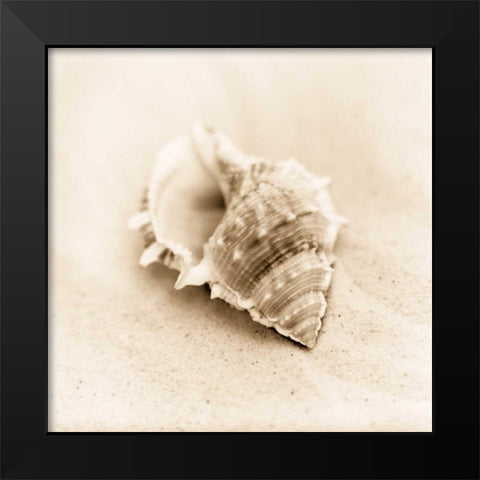 Il Oceano No. 3 Black Modern Wood Framed Art Print by Blaustein, Alan