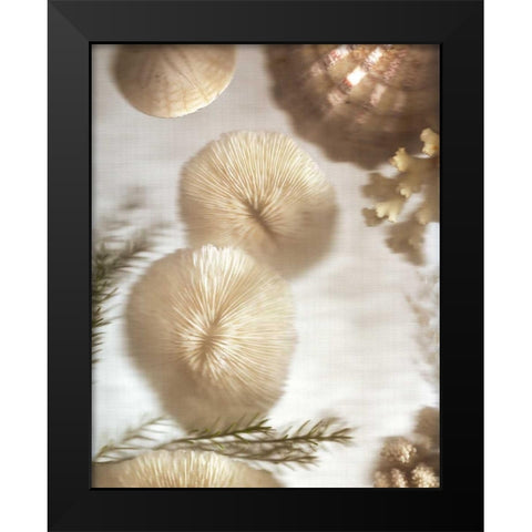 Nautical Illuminations No.2 Black Modern Wood Framed Art Print by Blaustein, Alan