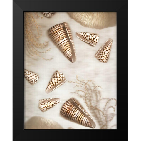 Nautical Illuminations No.4 Black Modern Wood Framed Art Print by Blaustein, Alan