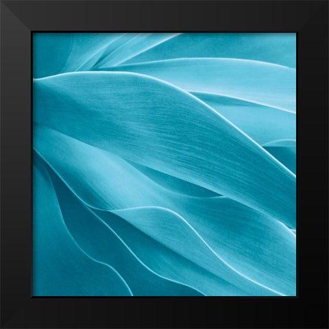 Succulent Black Modern Wood Framed Art Print by Bell, Jan