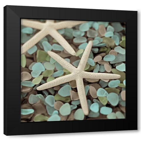 Aquatic 1 Black Modern Wood Framed Art Print with Double Matting by Blaustein, Alan