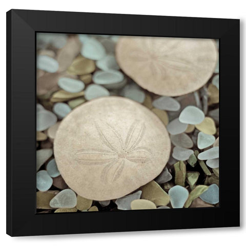 Aquatic 2 Black Modern Wood Framed Art Print by Blaustein, Alan