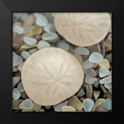 Aquatic 2 Black Modern Wood Framed Art Print by Blaustein, Alan